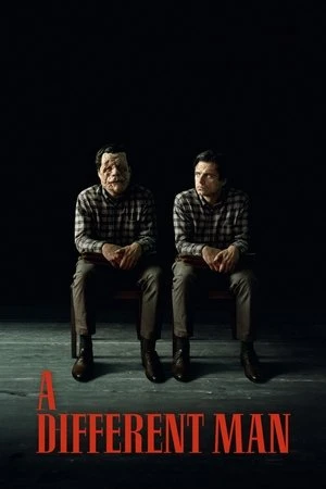 A Different Man 2024 Hindi Dual Audio WEB-DL 720p - 480p - 1080p